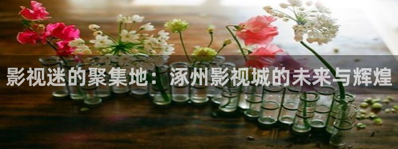 桔子视频一区二区：影视迷的聚集地：涿州影视城的未来与辉煌