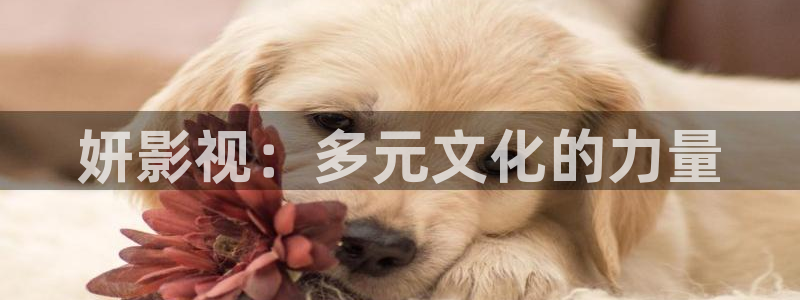 桔子视频在：妍影视：多元文化的力量