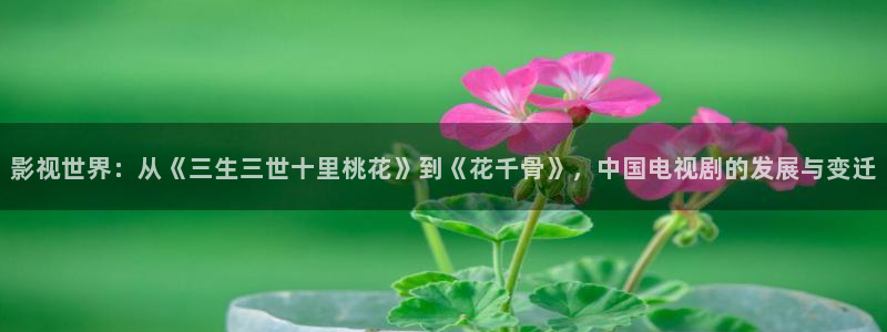 桔子视频搞笑：影视世界：从《三生三世十里桃花》到《花千骨》，中国电视剧的发展与变迁