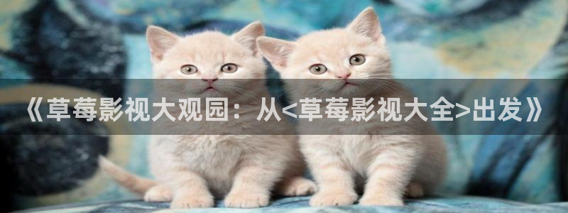 桔子视频电视剧免费观看：《草莓影视大观园：从<草莓影视大全>出发》