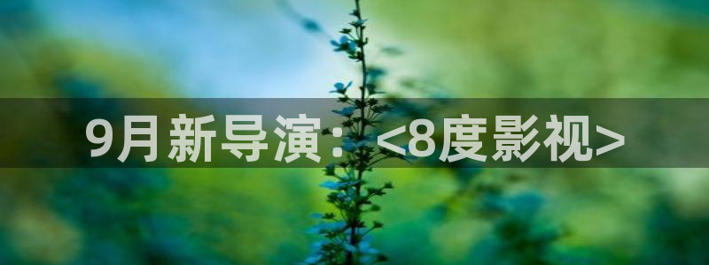 桔子私人电影：9月新导演：<8度影视>