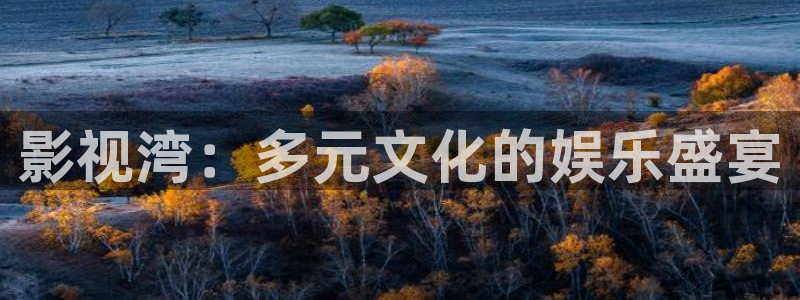 桔子电影网：影视湾：多元文化的娱乐盛宴