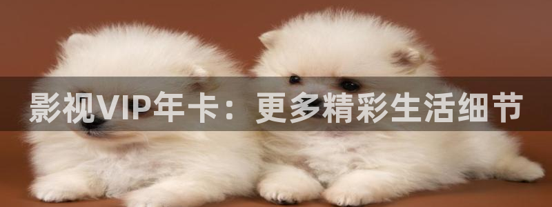 桔子视频看看：影视VIP年卡：更多精彩生活细节